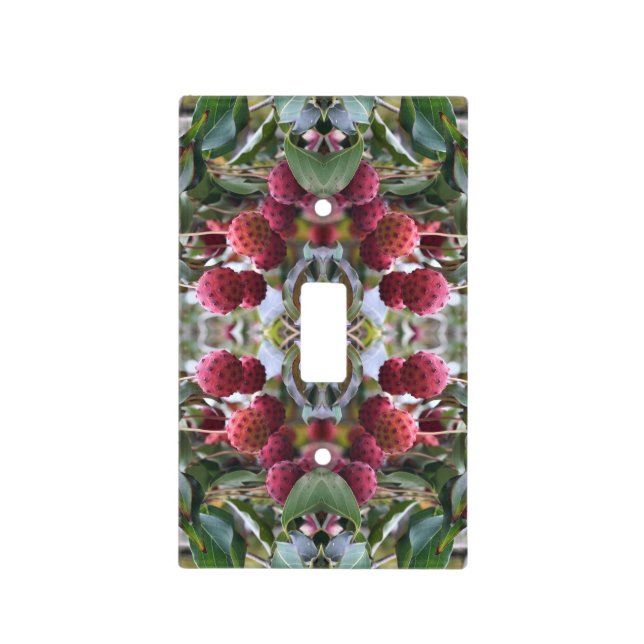 Red Dogwood Fruit Nature Abstract  Light Switch Cover (Front)