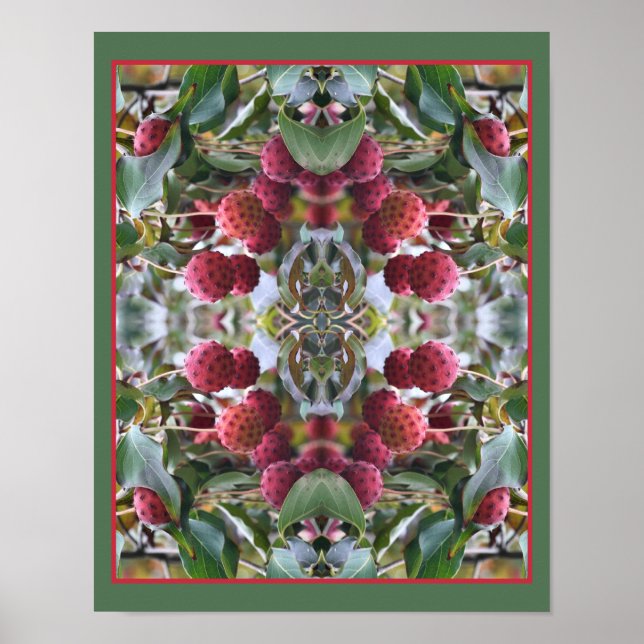 Red Dogwood Fruit Nature Abstract  Poster (Front)