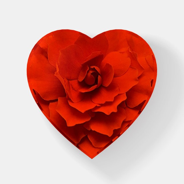 Red Double Begonia Paperweight (Front)