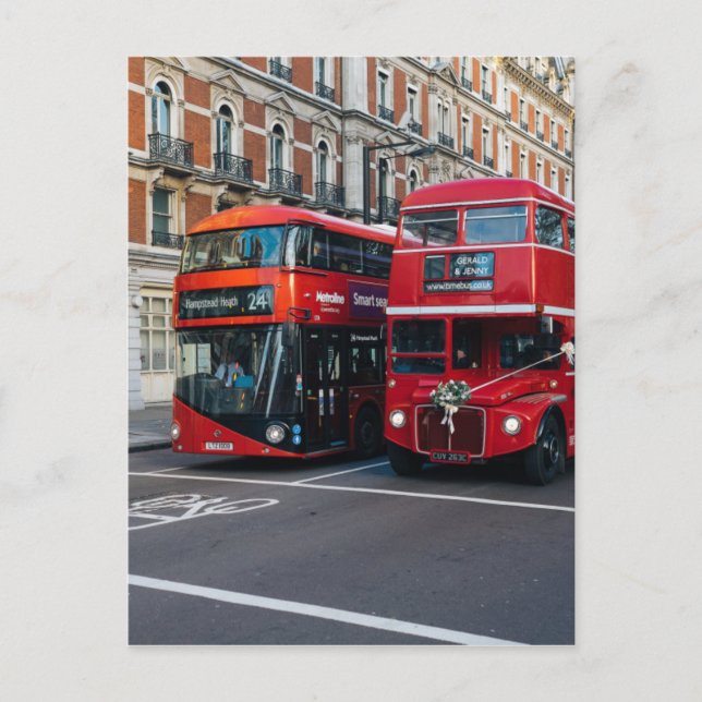 Red Double Decker Buses Postcard (Front)