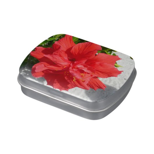 Red Double Hibiscus Flower Candy Tin (Side)