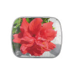 Red Double Hibiscus Flower Candy Tin