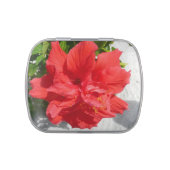 Red Double Hibiscus Flower Candy Tin (Top)