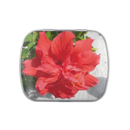 Red Double Hibiscus Flower Candy Tin (Top)