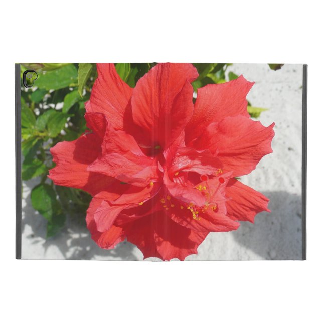 Red Double Hibiscus Flower iPad Pro 9.7" Case (Outside)