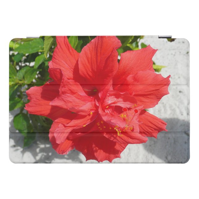 Red Double Hibiscus Flower iPad Pro Cover (Horizontal)