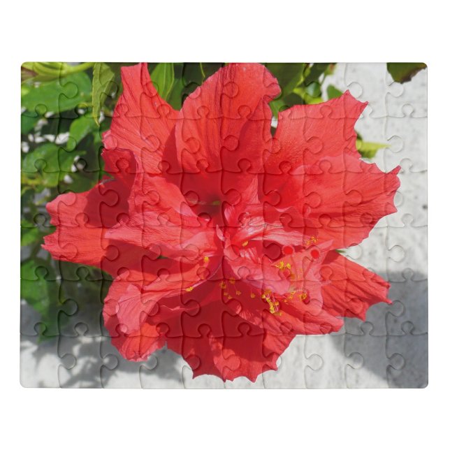 Red Double Hibiscus Flower Jigsaw Puzzle (Puzzle Horizontal)