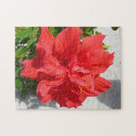 Red Double Hibiscus Flower Jigsaw Puzzle