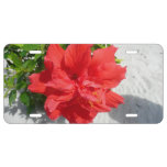 Red Double Hibiscus Flower License Plate
