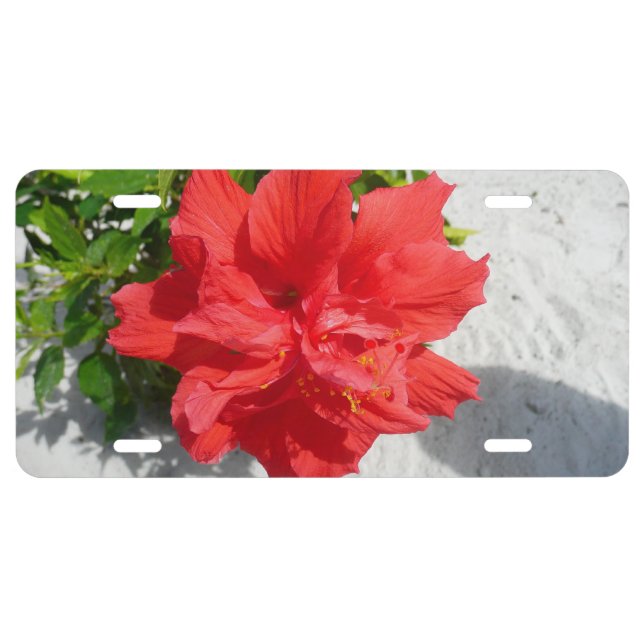 Red Double Hibiscus Flower License Plate (Front)