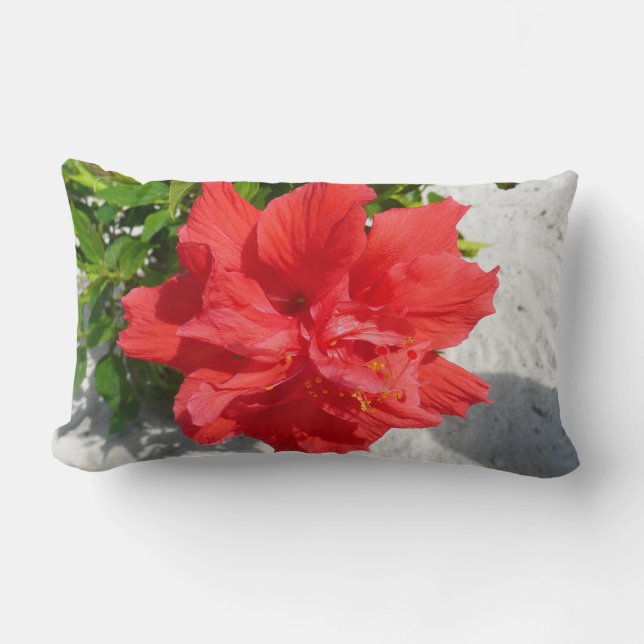 Red Double Hibiscus Flower Lumbar Pillow (Front)