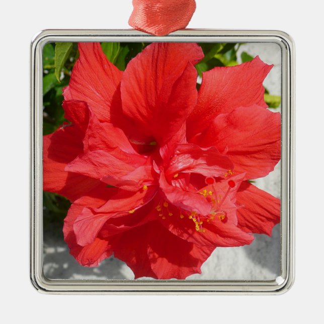 Red Double Hibiscus Flower Metal Ornament (Front)