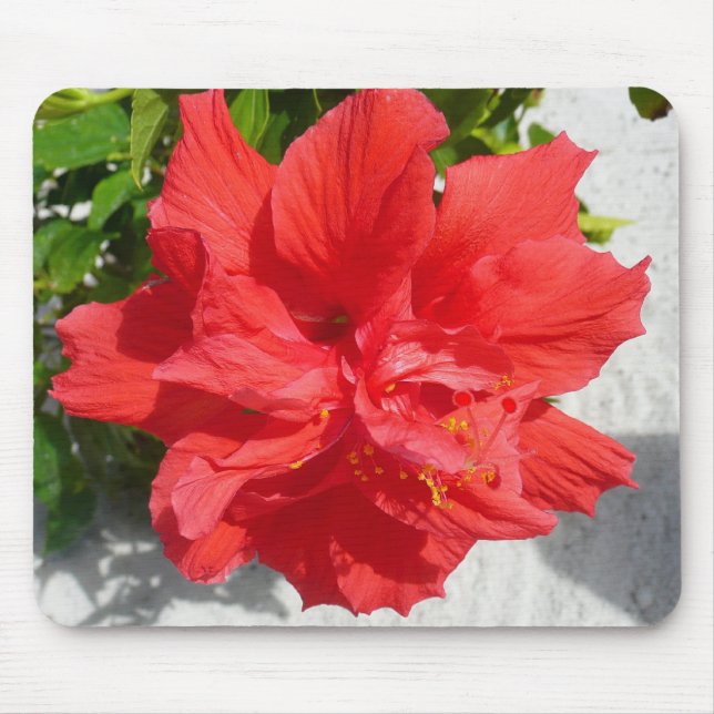 Red Double Hibiscus Flower Mouse Pad (Front)