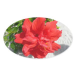 Red Double Hibiscus Flower Oval Sticker