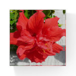 Red Double Hibiscus Flower Paperweight