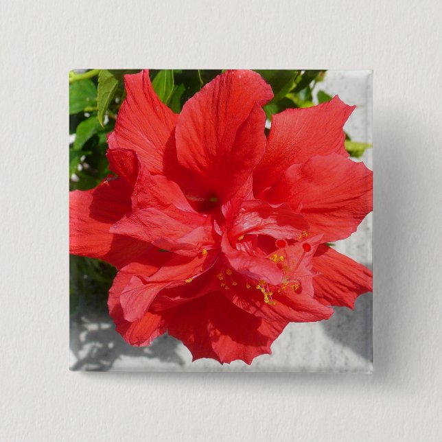 Red Double Hibiscus Flower Pinback Button (Front)