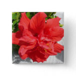 Red Double Hibiscus Flower Pinback Button