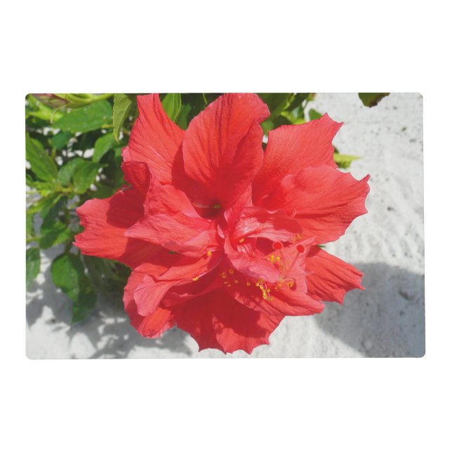 Red Double Hibiscus Flower Placemat (Front)