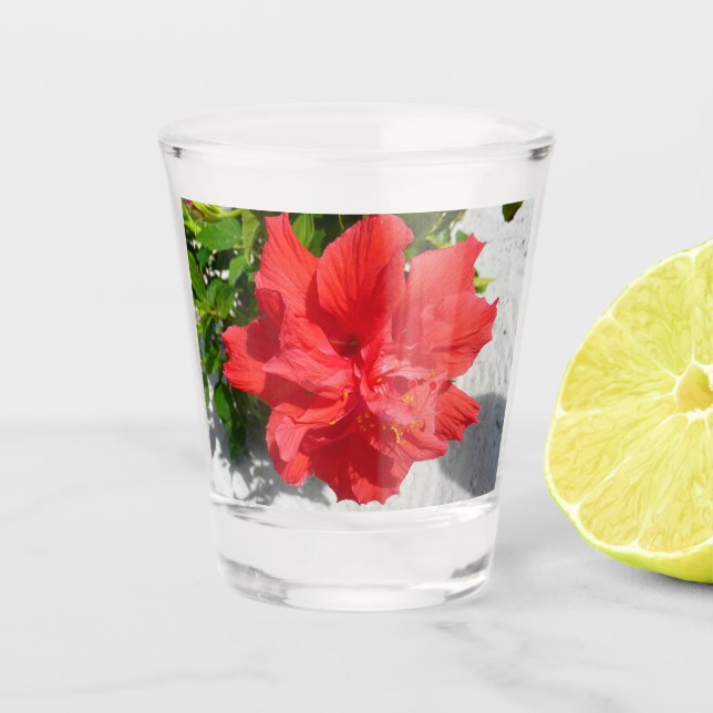 Red Double Hibiscus Flower Shot Glass (Front)