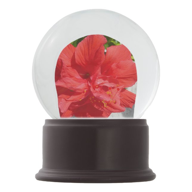 Red Double Hibiscus Flower Snow Globe (Back)