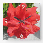 Red Double Hibiscus Flower Square Wall Clock