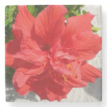 Red Double Hibiscus Flower Stone Coaster