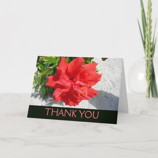 Red Double Hibiscus Flower Thank You Card (Front)