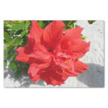 Red Double Hibiscus Flower Tissue Paper