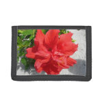 Red Double Hibiscus Flower Tri-fold Wallet