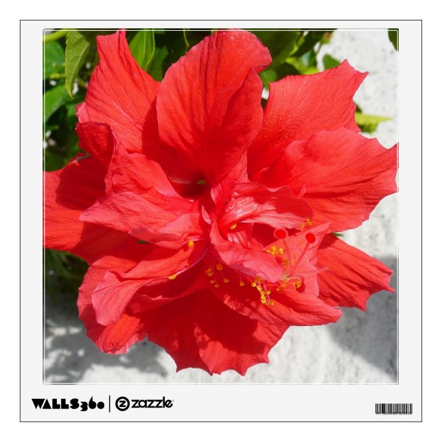 Red Double Hibiscus Flower Wall Decal (Front)