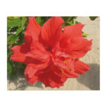 Red Double Hibiscus Flower Wood Wall Decor
