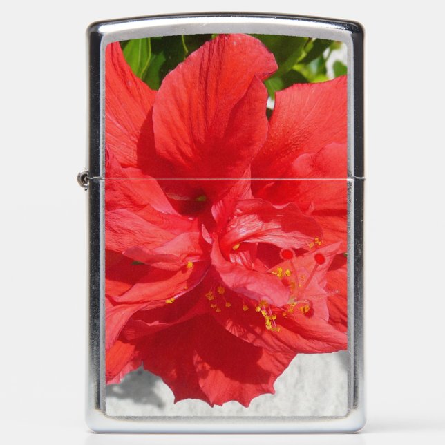 Red Double Hibiscus Flower Zippo Lighter (Front)