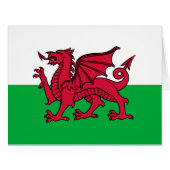 Red Dragon Celtic Flag of Wales & Welsh (Front Horizontal)