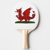 Cardiff Dragon Results - Table Tennis Wales