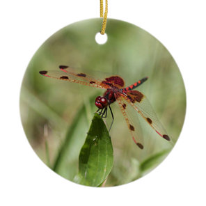 Red dragonfly ceramic ornament