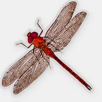 Red Dragonfly Contour Sticker by AutumnRoseMDS at Zazzle