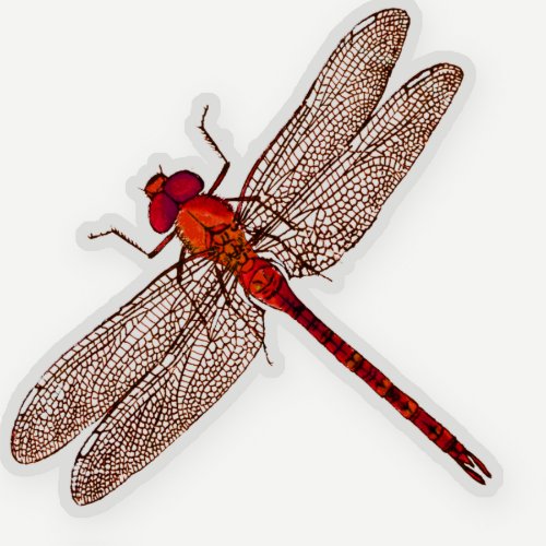 Red Dragonfly Contour Sticker