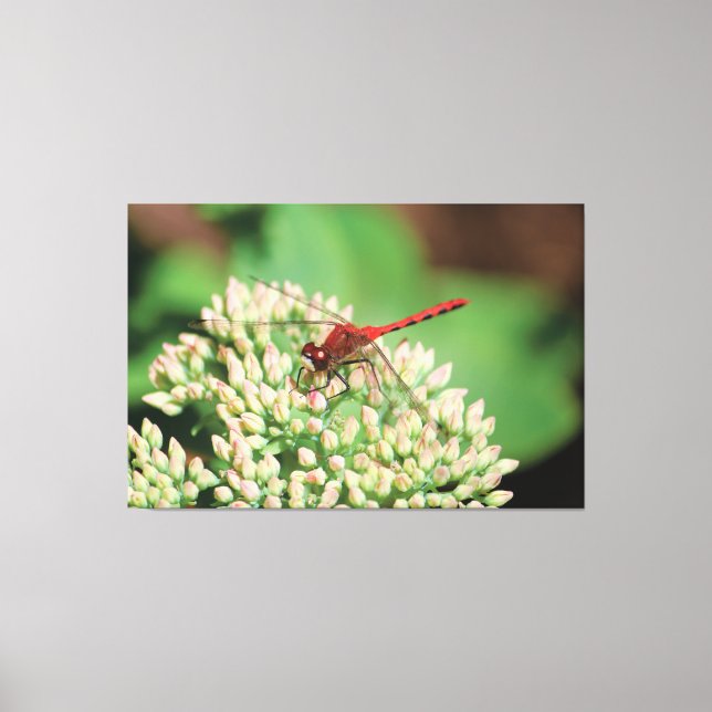 Red Dragonfly Floral Canvas Print (Front)