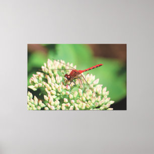 Red Dragonfly Floral Canvas Print