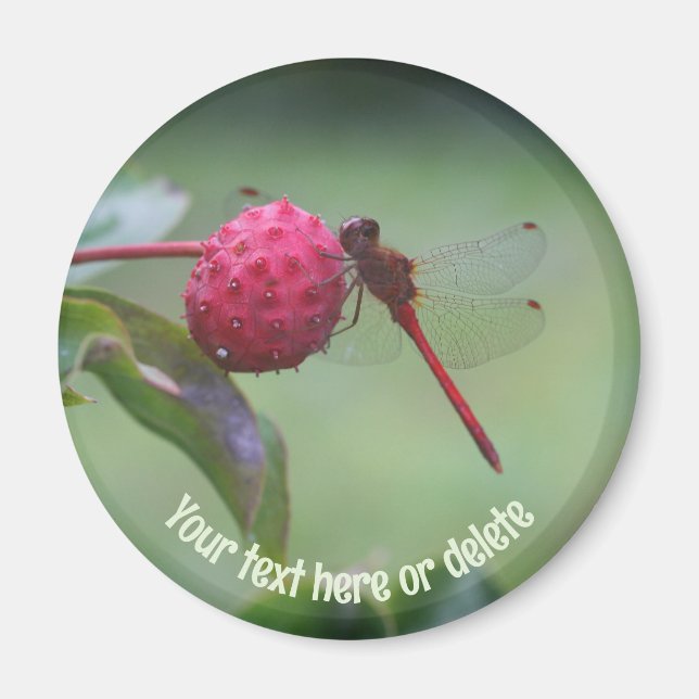 Red Dragonfly Nature Personalized Magnet (Front)