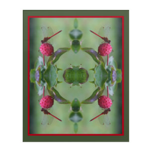 Red Dragonfly On Dogwood Fruit Abstract Acrylic Print