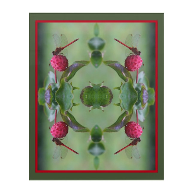 Red Dragonfly On Dogwood Fruit Abstract Acrylic Print (Front)