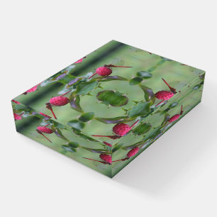 Red Dragonfly On Dogwood Fruit Abstract Paperweight