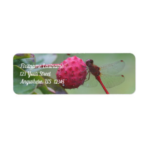 Red Dragonfly On Dogwood Fruit Address Label