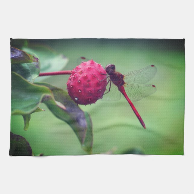 Red Dragonfly On Dogwood Fruit Close Up  Kitchen Towel (Horizontal)