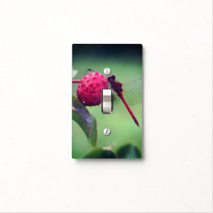 Red Dragonfly On Dogwood Fruit Close Up Light Switch Cover