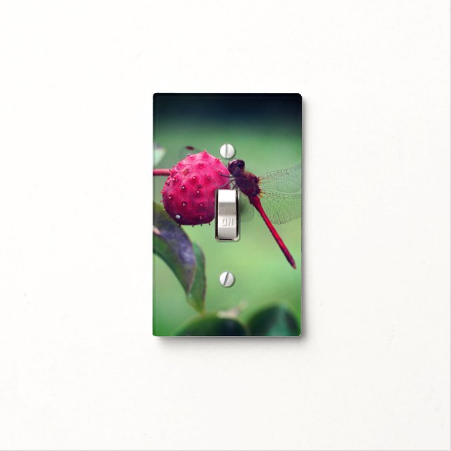 Red Dragonfly On Dogwood Fruit Close Up   Light Switch Cover (In Situ)