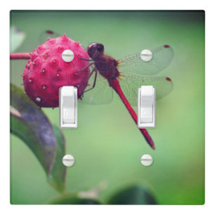 Red Dragonfly On Dogwood Fruit Close Up Light Switch Cover