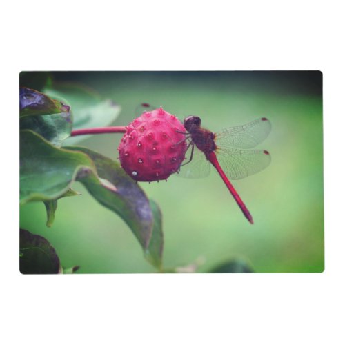 Red Dragonfly On Dogwood Fruit Close Up   Placemat