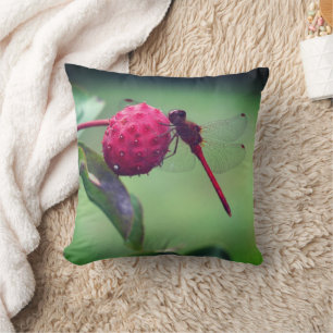 Red Dragonfly On Dogwood Fruit Close Up Throw Pillow